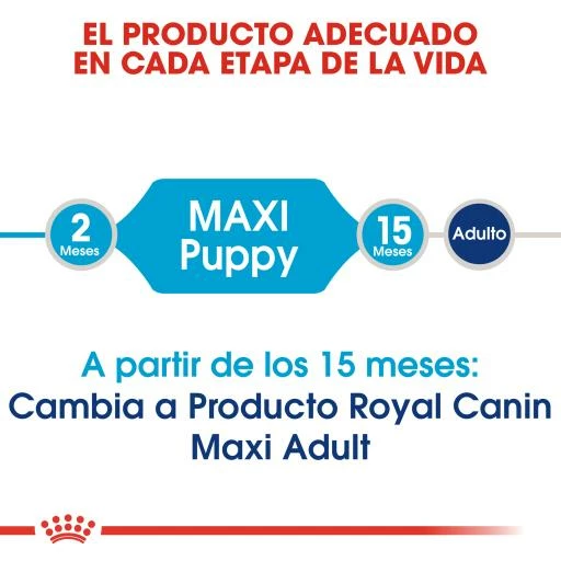 Royal Canin Maxi Puppy Aliment Pour Chiots De Race Grande 5 Royal Canin Maxi Puppy Aliment Pour Chiots De Race Grande – Image 3