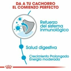 Royal Canin Maxi Puppy Aliment Pour Chiots De Race Grande 15 Royal Canin Maxi Puppy Aliment Pour Chiots De Race Grande -Miscota Soldes Boutique 32 4 3 g