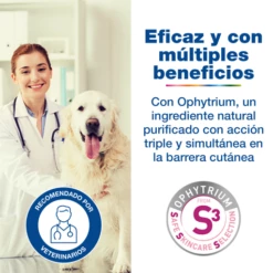 Douxo Shampooing Calm Pour Chiens Et Chats 12 Douxo Shampooing Calm Pour Chiens Et Chats -Miscota Soldes Boutique 3411113009441 4 DOUXOS3 CALM Eficacia 63bd310acae42 g