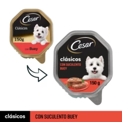 Lot 14 Cesar Nourriture Humide Pour Chiens à Saveur De Buf Dans Une Cuve à Pâté 13 Lot 14 Cesar Nourriture Humide Pour Chiens à Saveur De Buf Dans Une Cuve à Pâté -Miscota Soldes Boutique 38198 1 g