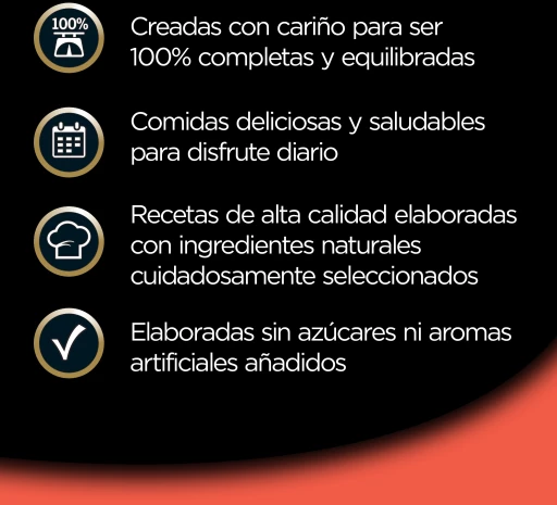 Lot 14 Cesar Nourriture Humide Pour Chiens à Saveur De Buf Dans Une Cuve à Pâté 10 Lot 14 Cesar Nourriture Humide Pour Chiens à Saveur De Buf Dans Une Cuve à Pâté – Image 8