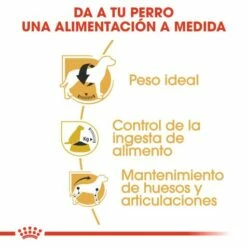 Royal Canin Beagle Adult -Miscota Soldes Boutique 39613 5 4 g