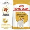 Royal Canin Jack Russell Adult -Miscota Soldes Boutique 39615 1 0 g