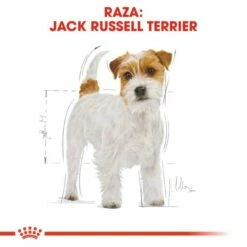 Royal Canin Jack Russell Adult -Miscota Soldes Boutique 39615 3 2 g