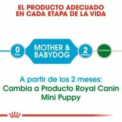 Royal Canin Mini Starter Mother And Babydog -Miscota Soldes Boutique 4 6220be6d596b3 g