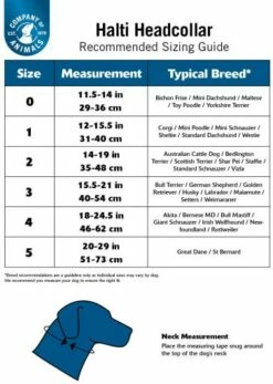 Halti Collier De Tête Pour Chien Noir 7 Halti Collier De Tête Pour Chien Noir -Miscota Soldes Boutique 40881 headcollarmedidas 2 g