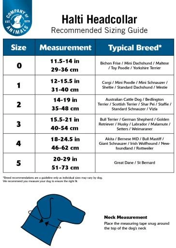 Halti Collier De Tête Pour Chien Noir 5 Halti Collier De Tête Pour Chien Noir – Image 3