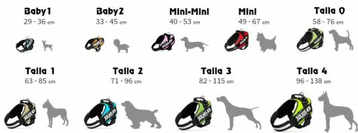 Julius K9 IDC Puissance Lila Harnais 4 Julius K9 IDC Puissance Lila Harnais – Image 2