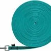 Trixie Laisse De Suivi Turquoise 2 Trixie Laisse De Suivi Turquoise -Miscota Soldes Boutique 423913 correa de rastreo turquesa 1 jpeg 0 g