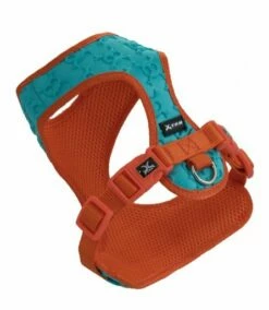 Nayeco Harnais Basic 3D Skulls Bleu