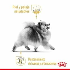 Royal Canin Pomeranian Adult Aliments Pour Chiens Adultes De Race Pure -Miscota Soldes Boutique 426028 3182550908450 3 2 g