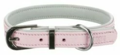 Trixie Collier Active Comfort Avec Rose Pailleté 9 Trixie Collier Active Comfort Avec Rose Pailleté -Miscota Soldes Boutique 427325 rosa1 1 g
