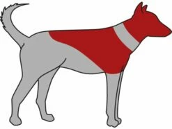 Trixie Collier Gonflable Isabelino Bleu 11 Trixie Collier Gonflable Isabelino Bleu -Miscota Soldes Boutique 427374 4011905195445 3 4 g