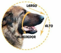 Julius K9 Muselière Pour Grands Chiens -Miscota Soldes Boutique 427630 bozales 1 1 g