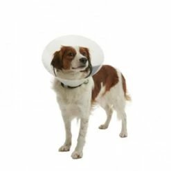 Ferribiella Collier En Plastique Élisabéthain 8 Ferribiella Collier En Plastique Élisabéthain -Miscota Soldes Boutique 429635 colarisabelino 2 g