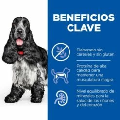 Hill's Science Plan No Grain Mature Adult Au Poulet Sans Céréales 9 Hill's Science Plan No Grain Mature Adult Au Poulet Sans Céréales -Miscota Soldes Boutique 429798 52742037257 3 2 g