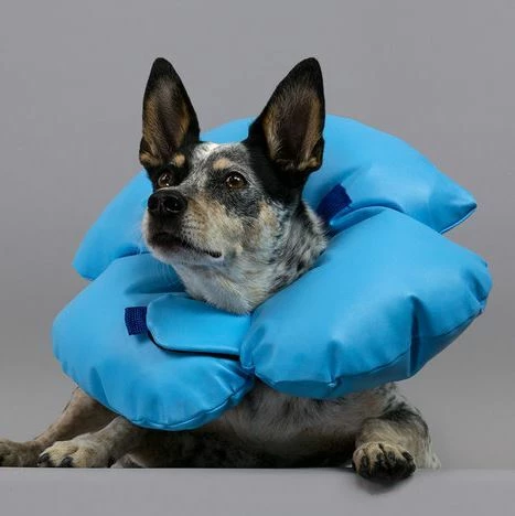 KVP Collier Élisabéthain Gonflable Air-O 4 KVP Collier Élisabéthain Gonflable Air-O – Image 2