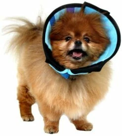 KVP Calmer Le Collier Élisabéthain Avec Tissu