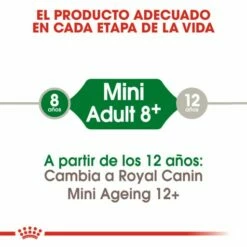 Royal Canin Mini Adult 8+Croquettes Pour Chiens Seniors De Petite Race -Miscota Soldes Boutique 43 2 1 g
