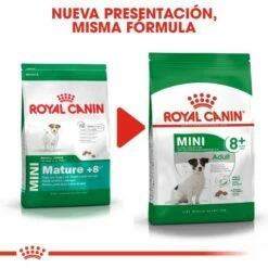 Royal Canin Mini Adult 8+Croquettes Pour Chiens Seniors De Petite Race -Miscota Soldes Boutique 43 6 5 g