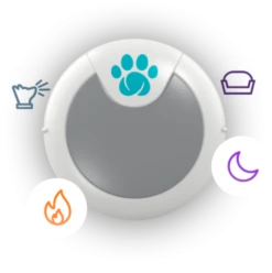 Sure Petcare Animo Moniteur De Comportement Et D'activité -Miscota Soldes Boutique 430468 animo main 0 g