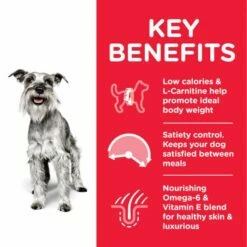 Hill's Science Plan Senior +7 Light Small & Mini Au Poulet -Miscota Soldes Boutique 439 atf8 52742170008 key benefits 3 g