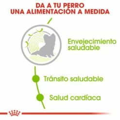 Royal Canin X-Small Ageing +12 -Miscota Soldes Boutique 4396 4 3 g