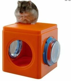 Ferplast Accessoire Cube Fpi 4836 -Miscota Soldes Boutique 46059 8010690073095 1 2 g