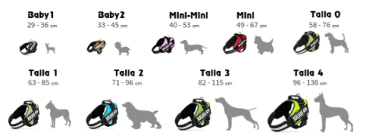 Julius K9 Fuchsia 4 Julius K9 Fuchsia – Image 2