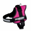 Julius K9 Fuchsia -Miscota Soldes Boutique 46438 5999053640903 1 g
