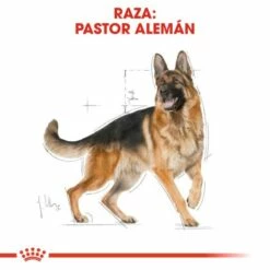 Royal Canin German Shepherd Adult Pour Chien Adulte De Type Berger Allemand -Miscota Soldes Boutique 47 3 2 g