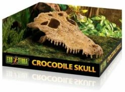 Exo Terra Crocodile Skull -Miscota Soldes Boutique 48602 15561228565 1 g