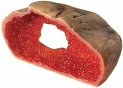 Exo Terra Cachette Décorative Pour Reptiles