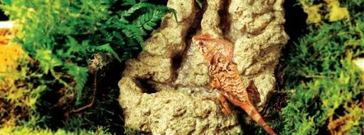 Exo Terra Fontaine Pebble Petite Taille 6 Exo Terra Fontaine Pebble Petite Taille – Image 4