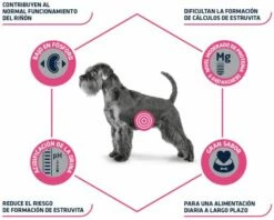 Advance Nourriture Urinary Canine -Miscota Soldes Boutique 4954 3 3 g