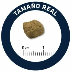 Advance Nourriture Diabète Et Colitis Canine 16 Advance Nourriture Diabète Et Colitis Canine -Miscota Soldes Boutique 4956 5 6 g