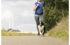 Flamingo Canicross Pour Chiens Avec Ceinture Réglable 140 Cm 8 Flamingo Canicross Pour Chiens Avec Ceinture Réglable 140 Cm -Miscota Soldes Boutique 504916 S 01 63a0165be850a g