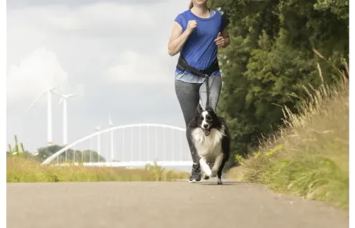 Flamingo Canicross Pour Chiens Avec Ceinture Réglable 140 Cm 4 Flamingo Canicross Pour Chiens Avec Ceinture Réglable 140 Cm – Image 2