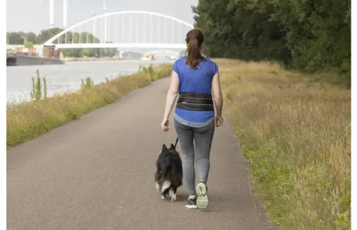 Flamingo Canicross Pour Chiens Avec Ceinture Réglable 140 Cm 5 Flamingo Canicross Pour Chiens Avec Ceinture Réglable 140 Cm – Image 3