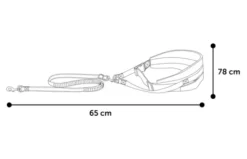 Flamingo Canicross Pour Chiens Avec Ceinture Réglable 140 Cm 11 Flamingo Canicross Pour Chiens Avec Ceinture Réglable 140 Cm -Miscota Soldes Boutique 504916 T 01 63a0165fdc44d g