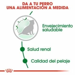 Royal Canin Tourteau Mini Ageing +12 -Miscota Soldes Boutique 5056 4 3 g