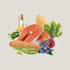 Traveness Nourriture Naturel Grain Free Senstive Recette De Saumon -Miscota Soldes Boutique 512x512 1 6 64a5248255241 g