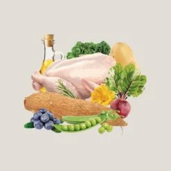 Traveness Nourriture Naturel Grain Free Puppy & Junior Recette De Poulet -Miscota Soldes Boutique 512x512 1 8 64a523c662660 g