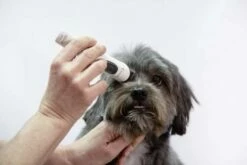 Artero Tondeuse Exacta 12 Artero Tondeuse Exacta -Miscota Soldes Boutique 51lj7d3erkl ac sl1000 6343e28460dcb g