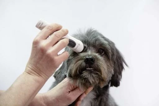 Artero Tondeuse Exacta 7 Artero Tondeuse Exacta – Image 5