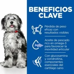 Hill's Science Plan Perfect Weight & Active Mobility Races Moyennes Poulet -Miscota Soldes Boutique 52742052823 3 61fbfeed1de15 g