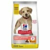 Hill's Science Plan Puppy Large Breed Digestion Parfaite Avec Poulet Et Riz 1 Hill's Science Plan Puppy Large Breed Digestion Parfaite Avec Poulet Et Riz -Miscota Soldes Boutique 52742053486 g