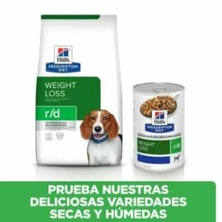 Lot 12 Hill's Prescription Diet Canine Boîte R/d Weight Reduction -Miscota Soldes Boutique 52742801407 6 g