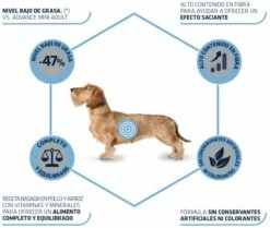 Advance Pienso Light Para Perros Mini De Pollo Y Arroz -Miscota Soldes Boutique 53 3 7 g