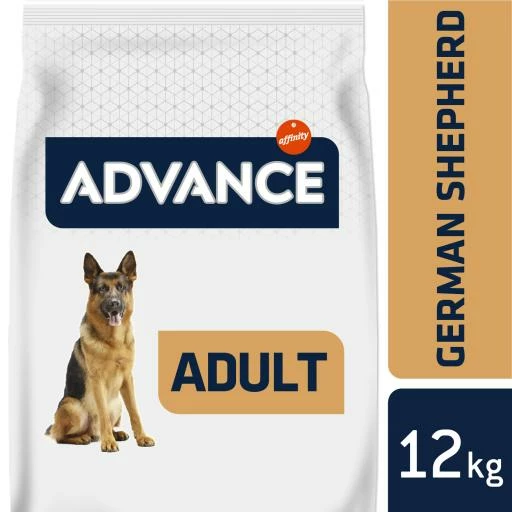 Advance German Shepherd Berger Allemand 5 Advance German Shepherd Berger Allemand – Image 3